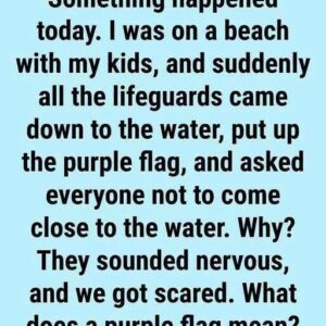 Why You Might See a Purple Flag Flying at the B