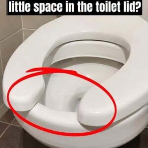 I Had No Idea That Little Space In The Toilet Lid Actually Means… See more