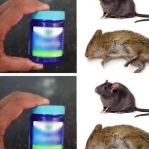 How to get rid of rats and mice naturally with Vick Vaporub!