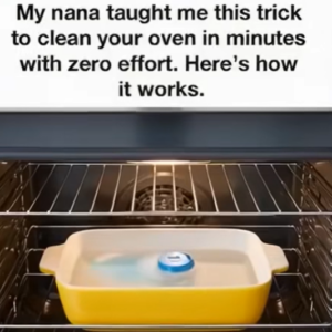 Nana’s Simple Trick to Sparkling Ovens