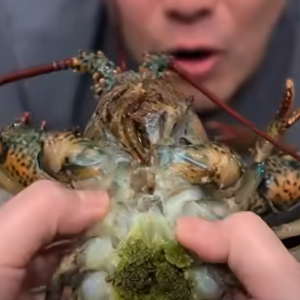 The Mystery of Lobster’s Green Goodies