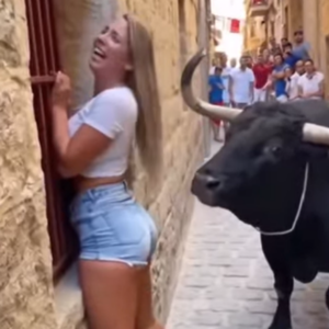 Tourist Faces Bull — What Happens Next Will Shock You