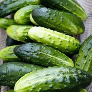 Doctors reveal that eating cucumber in salads causes…
