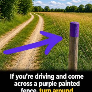 If You Ever See a Fence Painted Purple, There May Be a Reason Behind It
