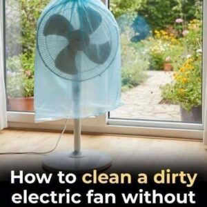 How to Remove Dust From Your Fan Without Disassembling It
