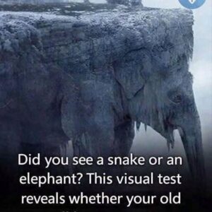 THE FIRST ANIMAL YOU SEE COULD REVEAL A SHOCKING TRUTH ABOUT HOW YOU THINK