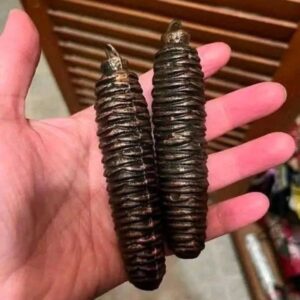 No, these are not Christmas decorations. My girlfriend is searching the house where her grandmother and her aunt have lived…
