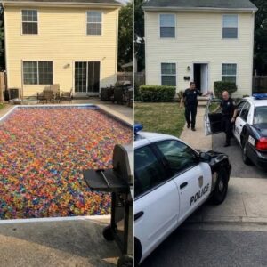 I Woke Up to Find Millions of Orbeez Filling Our Pool—Then Police Pulled Something From the Bottom That Had Been Missing for 3 Years