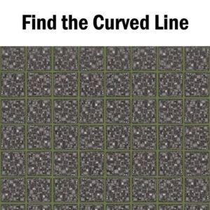 The Viral “Find the Curved Line” Puzzle: Why Your Brain Sees Curves That Aren’t There